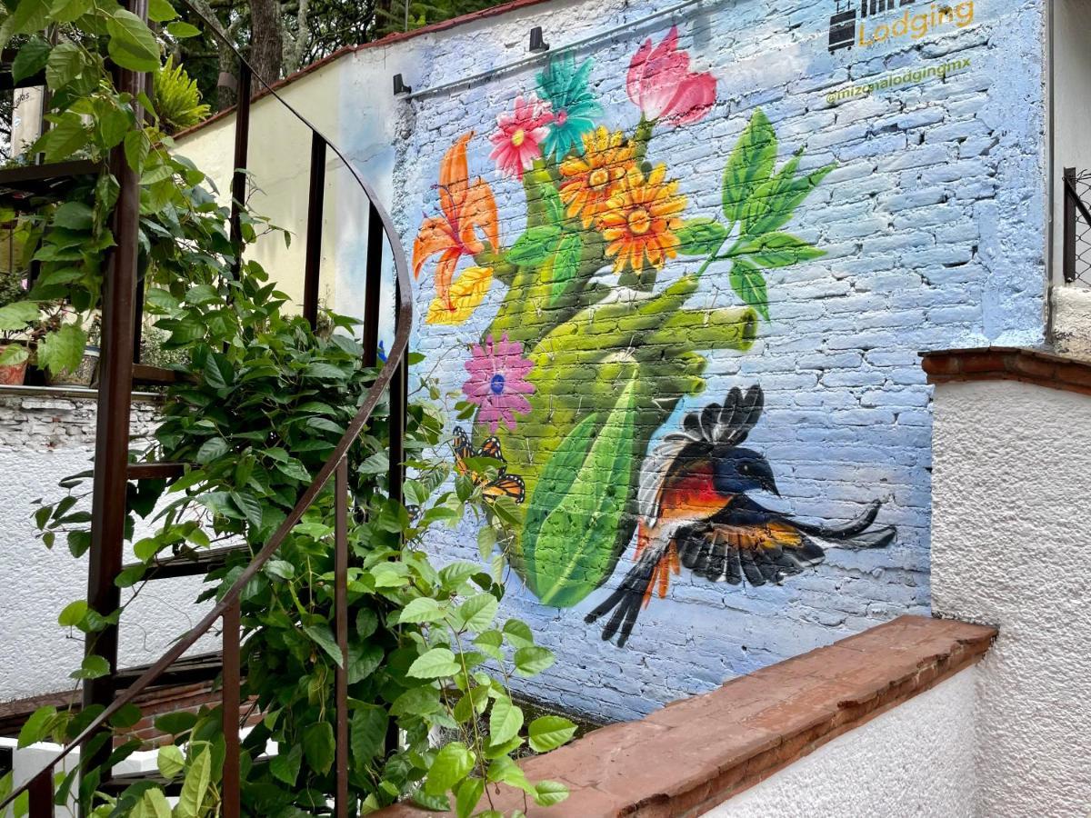 Mi Zona Lodging Coyoacan Мехико Экстерьер фото
