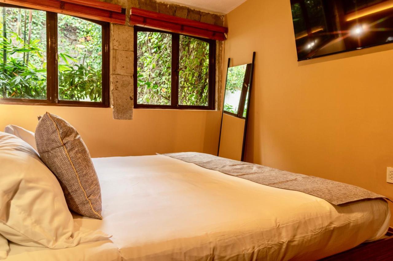 Mi Zona Lodging Coyoacan Мехико Экстерьер фото